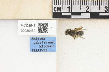 Media type: image;   Entomology 30482 Aspect: Labels